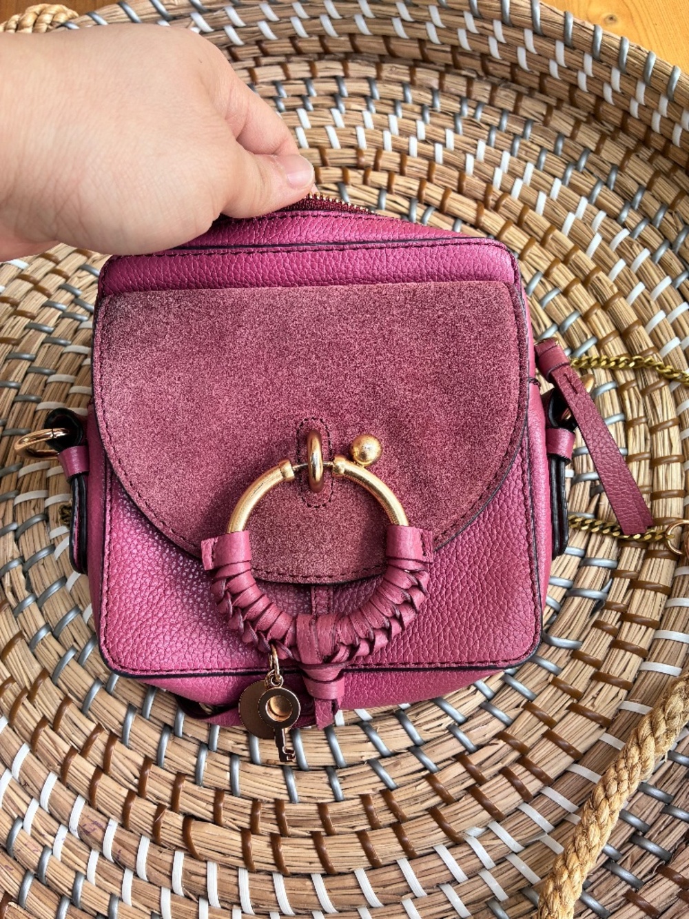 Chloe Women's Pink Suede & Leather Crossbody Bag with Gold Ring Accent